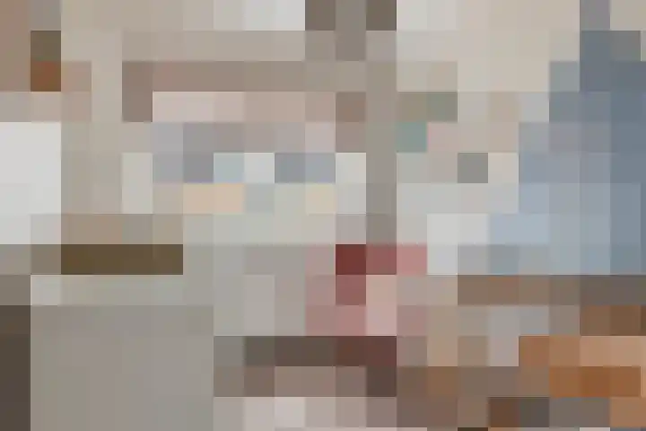 Chopinstraat 84 Capelle aan den IJssel thumbnail 17