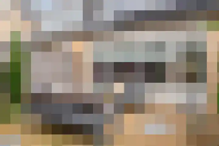 Chopinstraat 84 Capelle aan den IJssel thumbnail 22