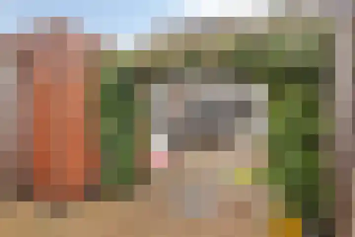 Chopinstraat 84 Capelle aan den IJssel thumbnail 24