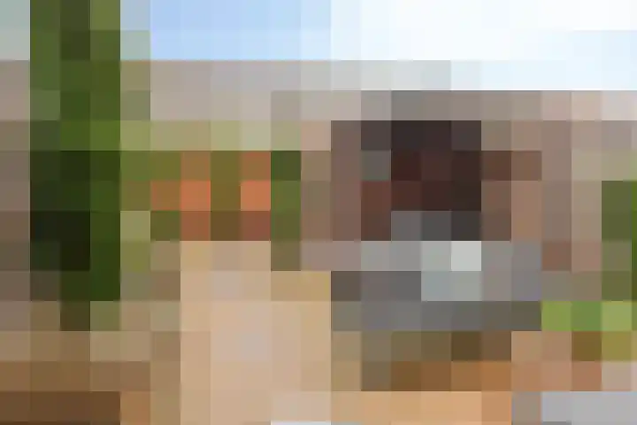 Chopinstraat 84 Capelle aan den IJssel thumbnail 4