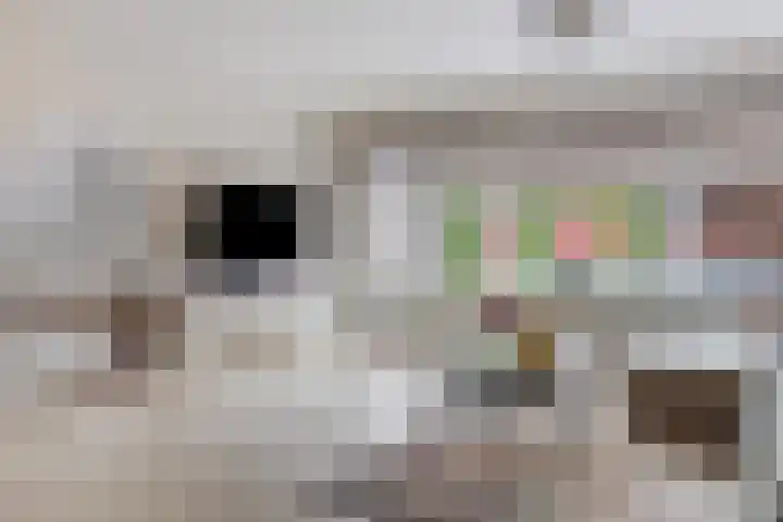 Chopinstraat 84 Capelle aan den IJssel thumbnail 6