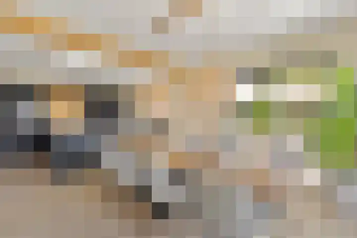 Chopinstraat 9 Tubbergen thumbnail 10