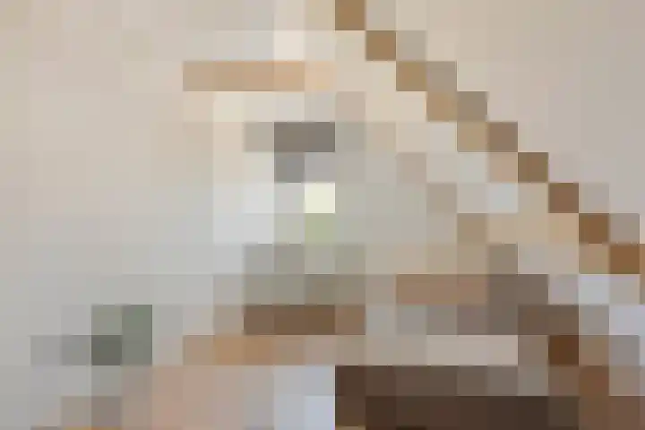 Chopinstraat 9 Tubbergen thumbnail 18