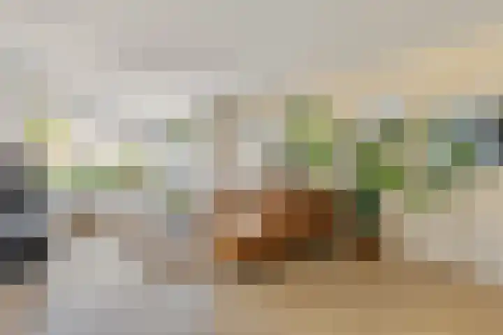 Chopinstraat 9 Tubbergen thumbnail 7