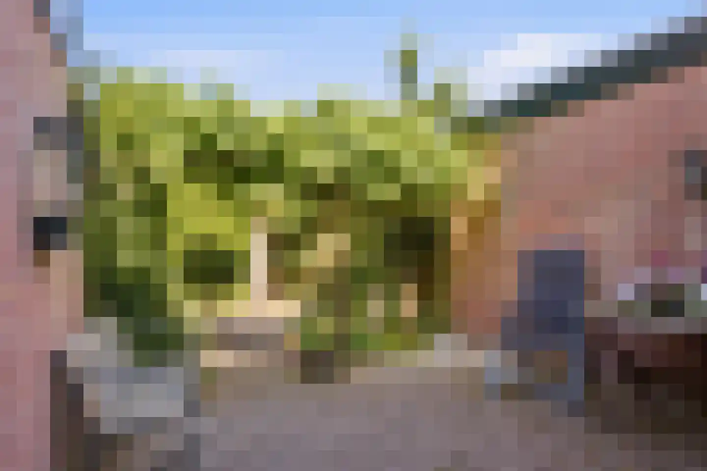 Choristenpad 15 Soest thumbnail 28