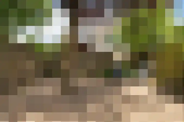Choristenpad 17 Soest thumbnail 28
