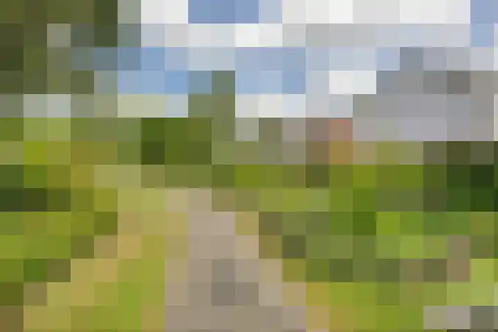 Choristenpad 17 Soest thumbnail 31