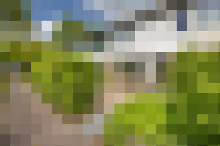 Choristenpad 17 Soest thumbnail 6