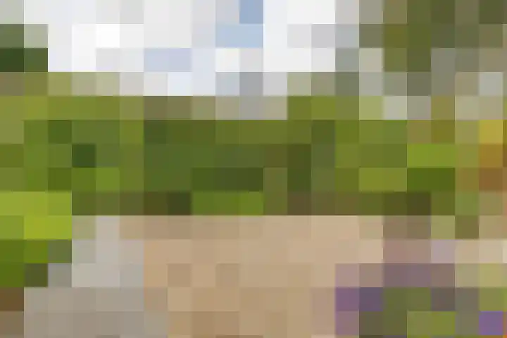 Choristenpad 17 Soest thumbnail 7