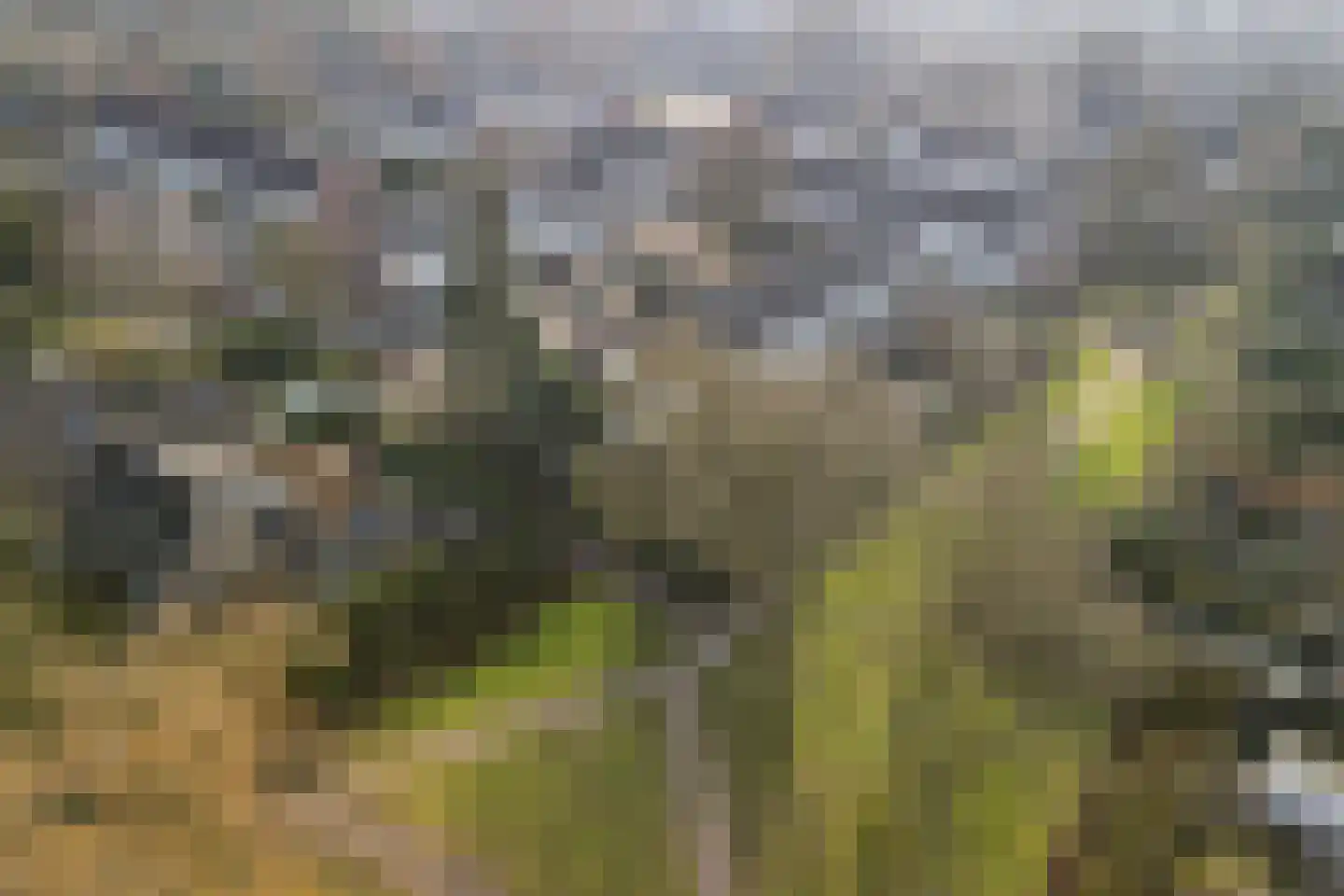 Choristenpad 42 Soest thumbnail 28