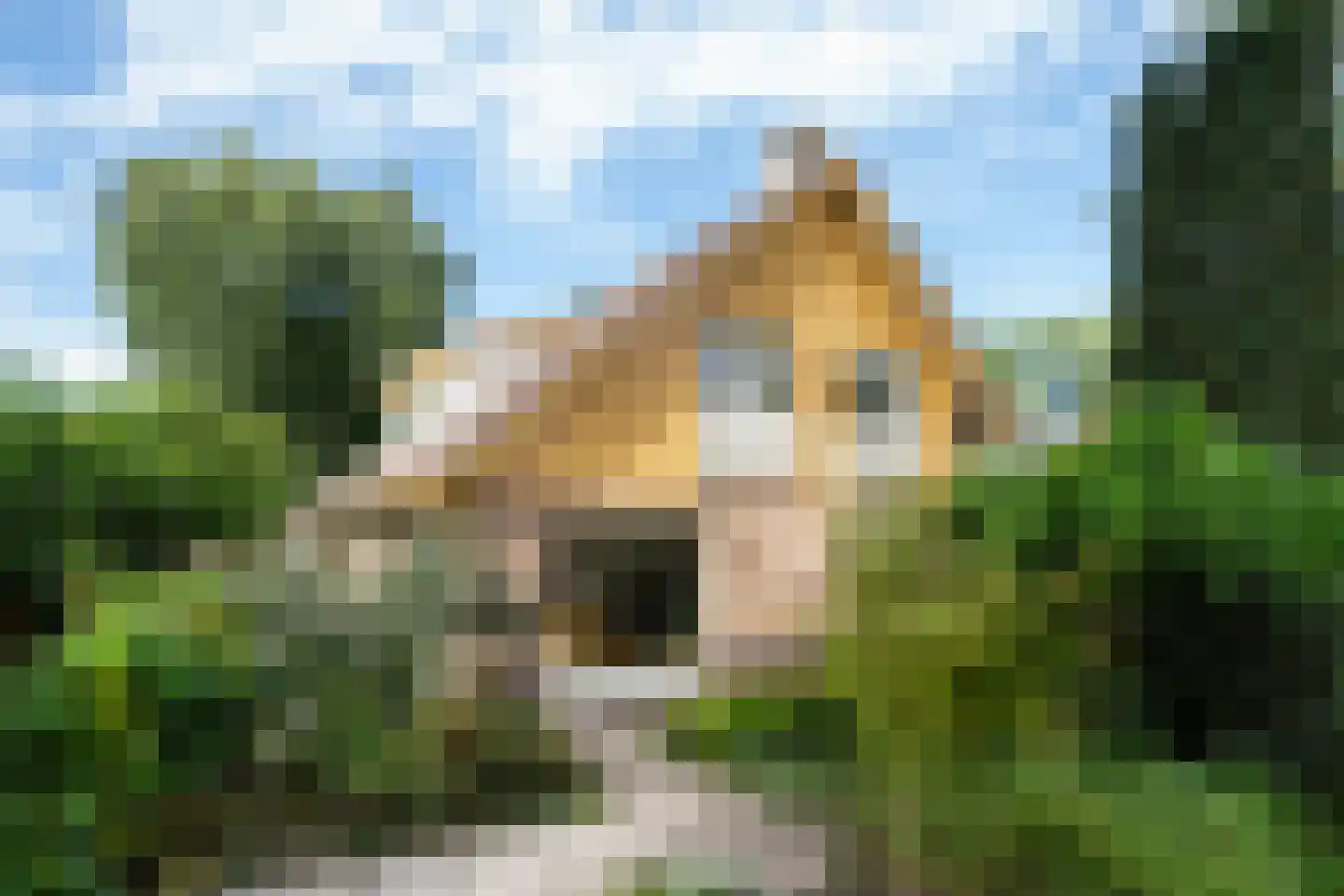 Choristenpad 53 in Soest