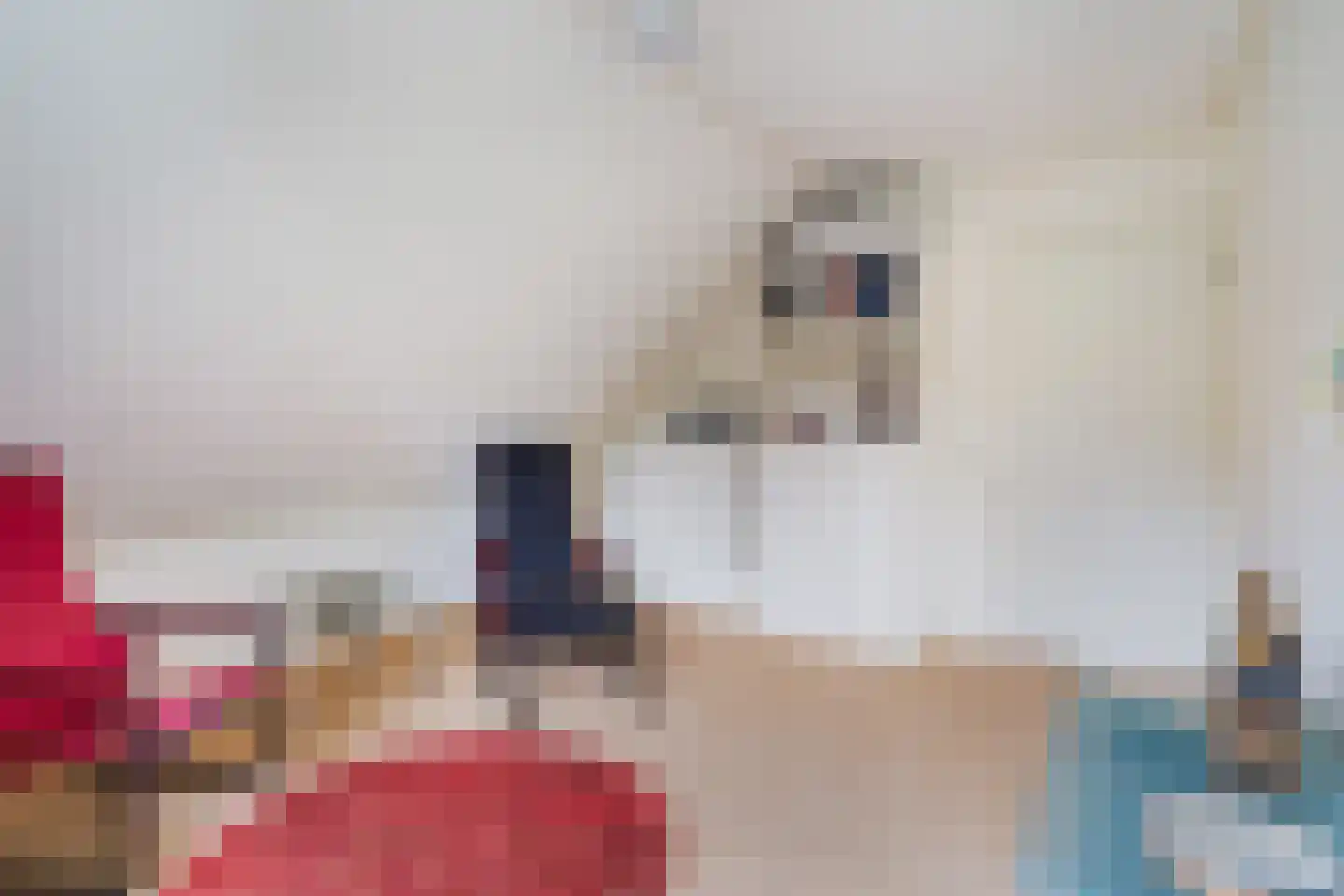 Choristenpad 53 Soest thumbnail 19