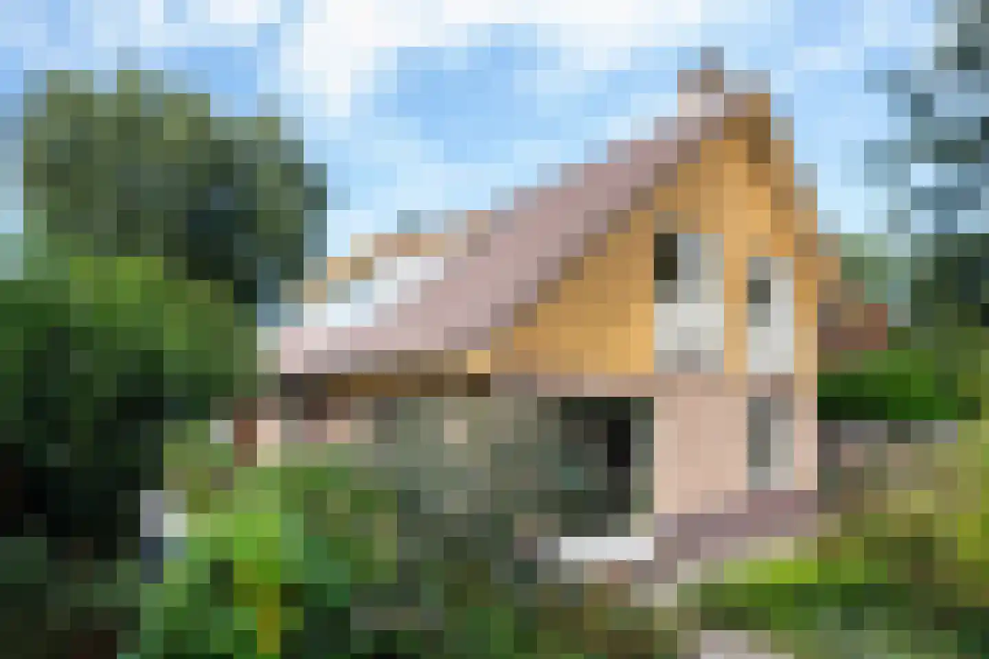 Choristenpad 53 Soest thumbnail 26