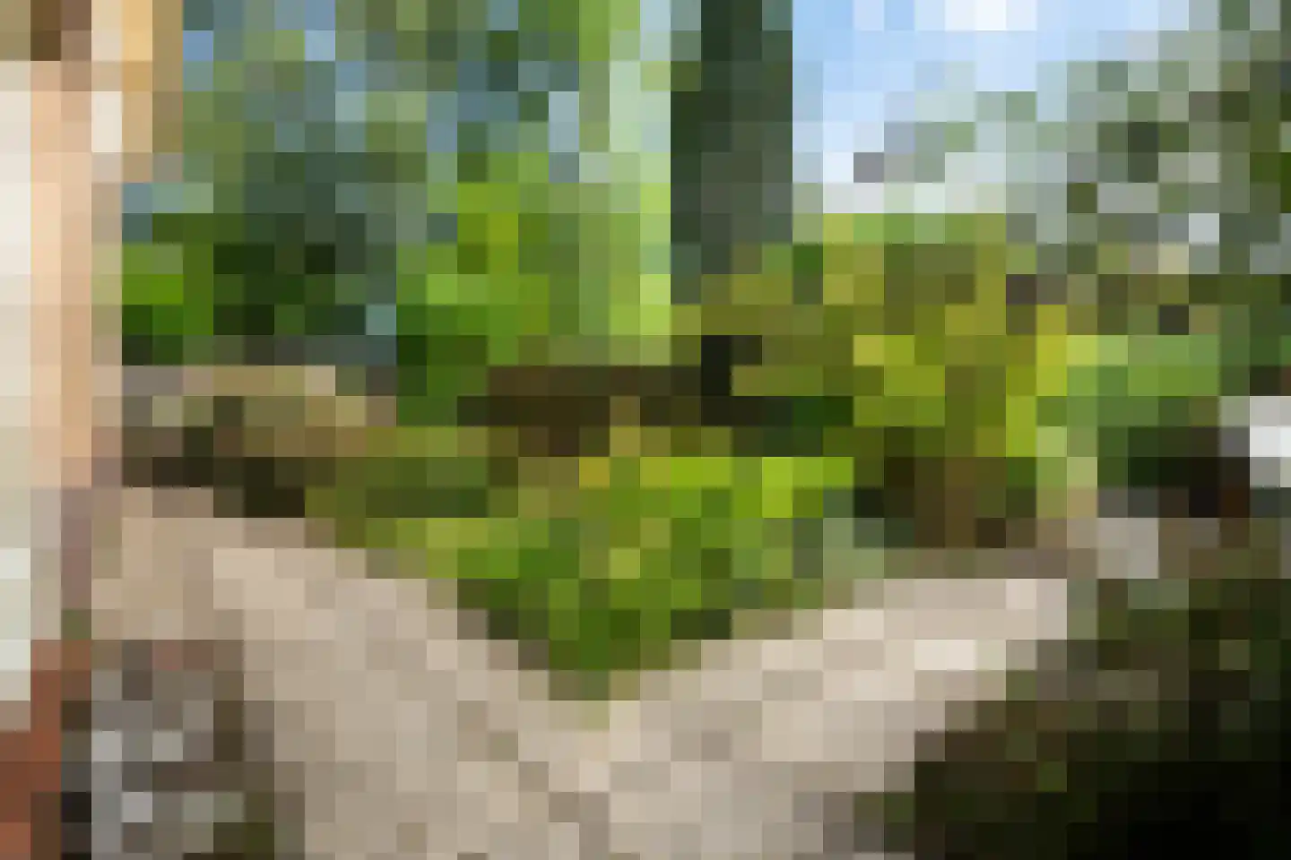 Choristenpad 53 Soest thumbnail 30