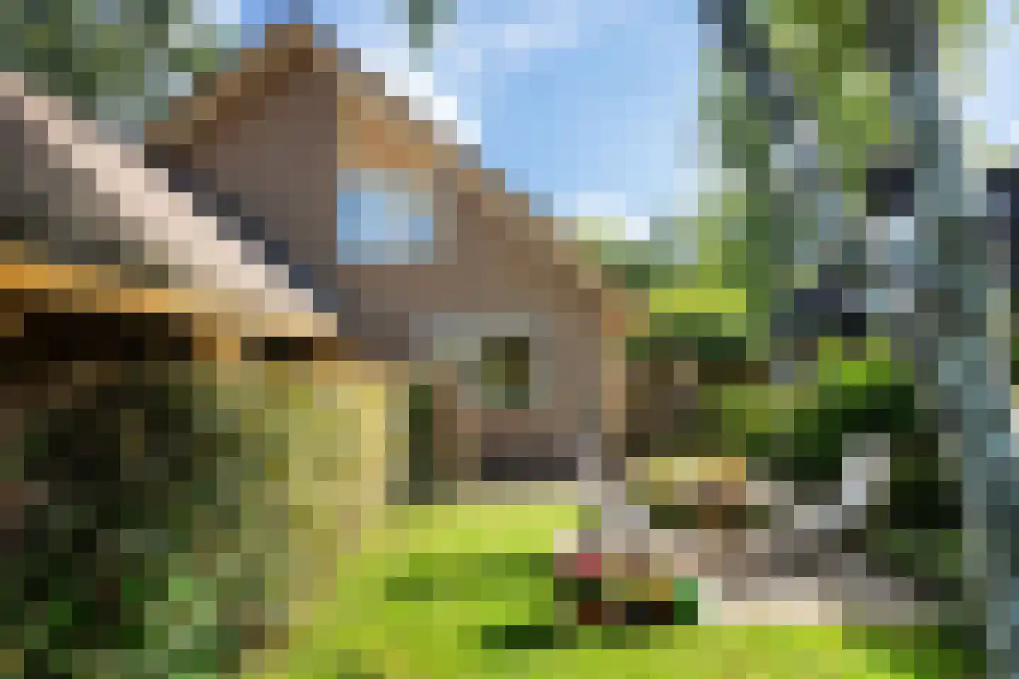 Choristenpad 53 Soest thumbnail 31