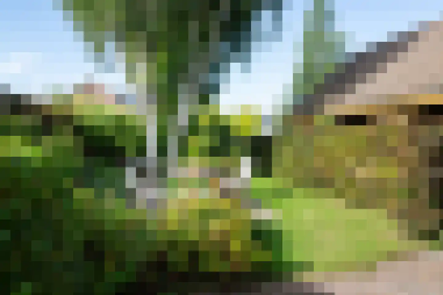 Choristenpad 53 Soest thumbnail 33