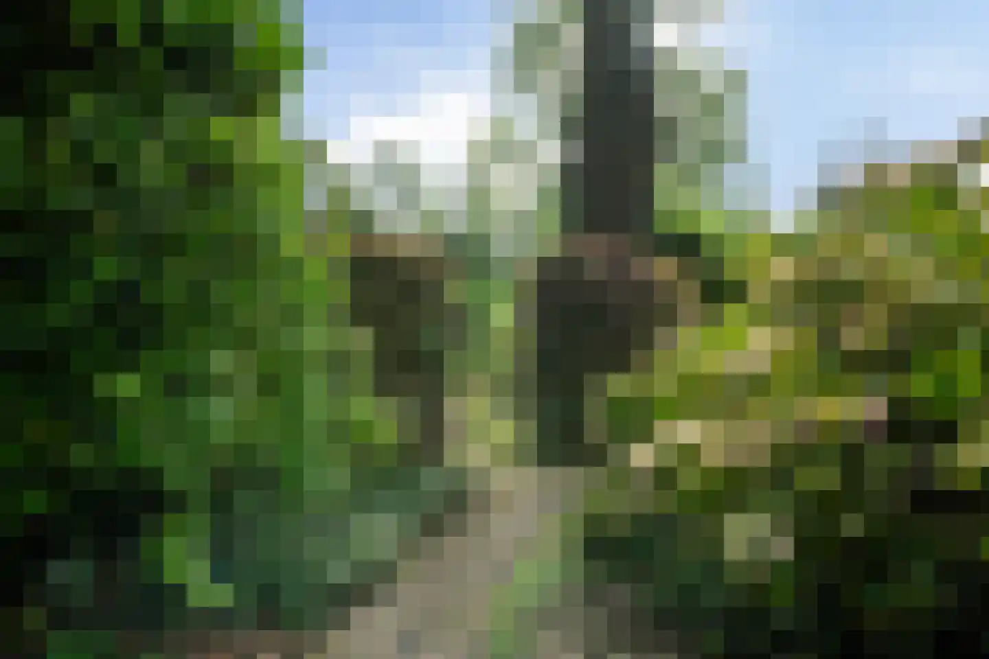 Choristenpad 53 Soest thumbnail 34