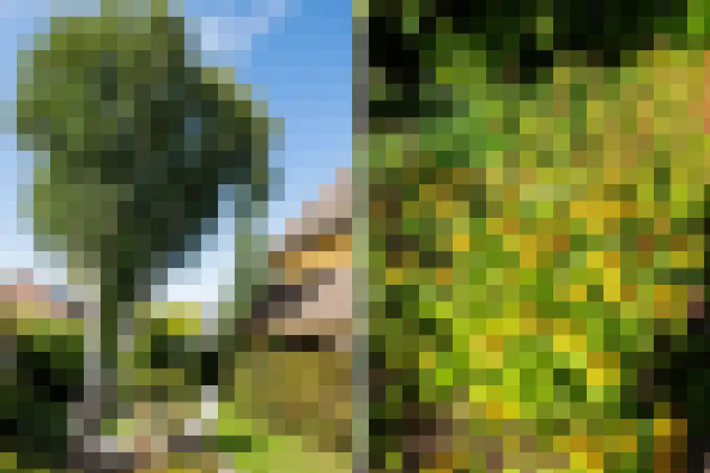 Choristenpad 53 Soest thumbnail 36