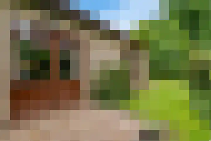 Choristenpad 81 Soest thumbnail 4