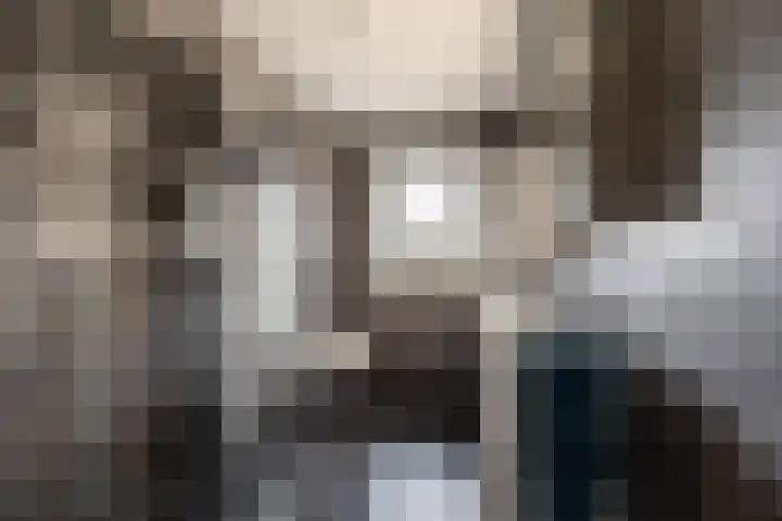Chr. Bruningslaan 12 Heemstede thumbnail 11
