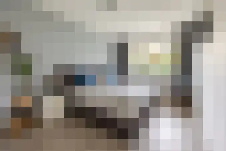 Chr. Bruningslaan 12 Heemstede thumbnail 13