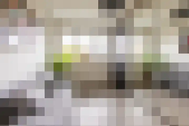 Chr. Bruningslaan 12 Heemstede thumbnail 14