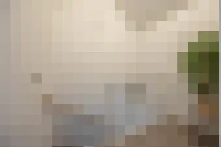 Chr. Bruningslaan 12 Heemstede thumbnail 16