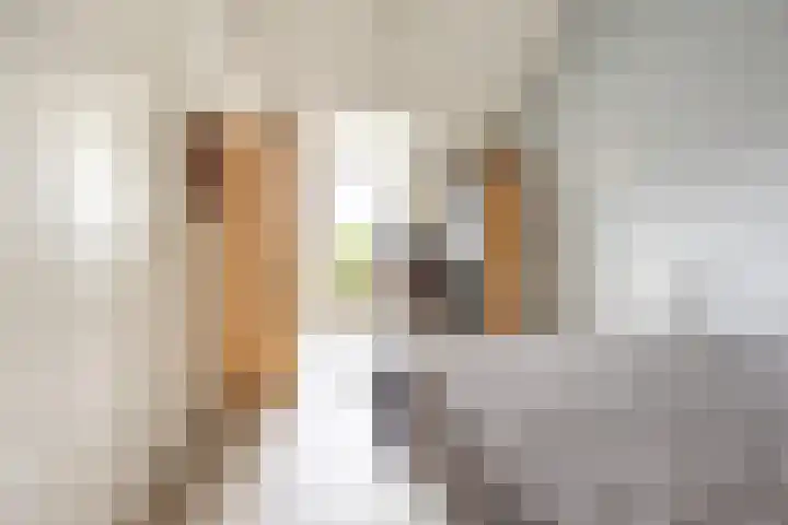 Chr. Bruningslaan 12 Heemstede thumbnail 17