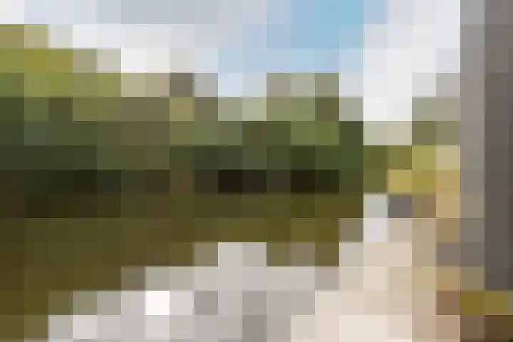 Chr. Bruningslaan 12 Heemstede thumbnail 22