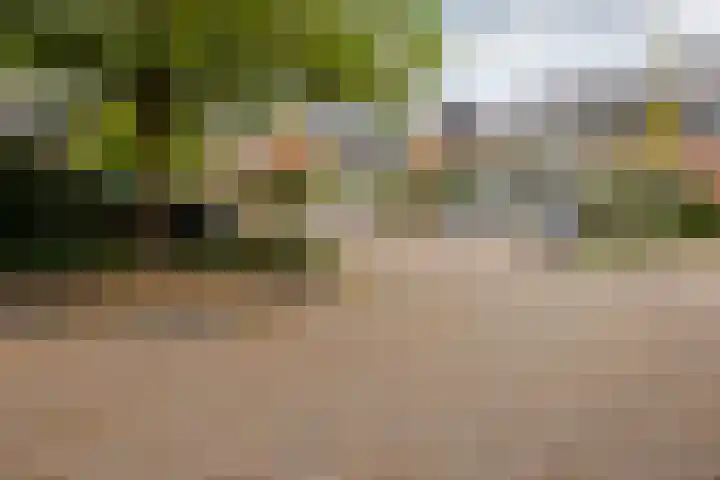 Chr. Bruningslaan 12 Heemstede thumbnail 25