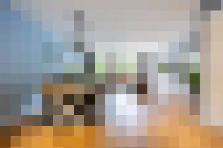 Chr. Bruningslaan 12 Heemstede thumbnail 6