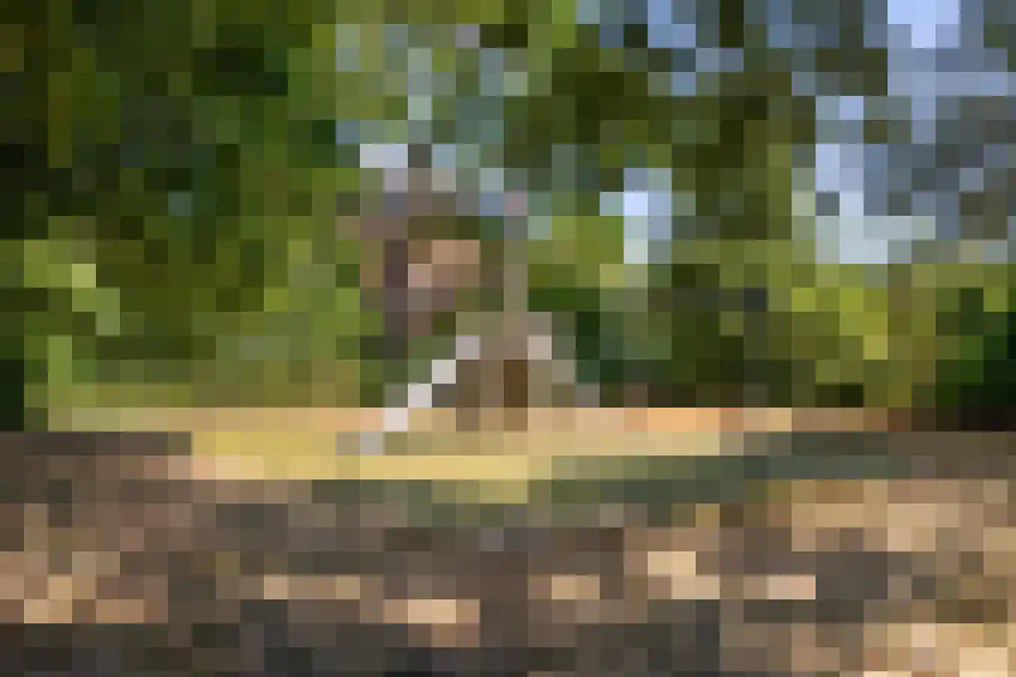 Chr. Bruningslaan 8 Heemstede thumbnail 28