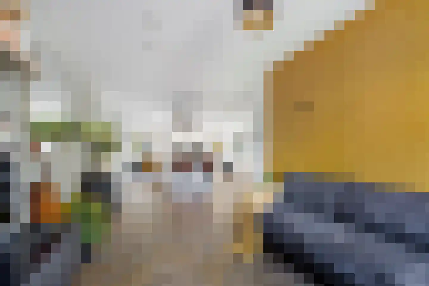 Chr. Bruningslaan 8 Heemstede thumbnail 4