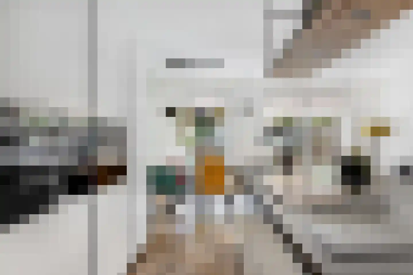 Chr. Bruningslaan 8 Heemstede thumbnail 7