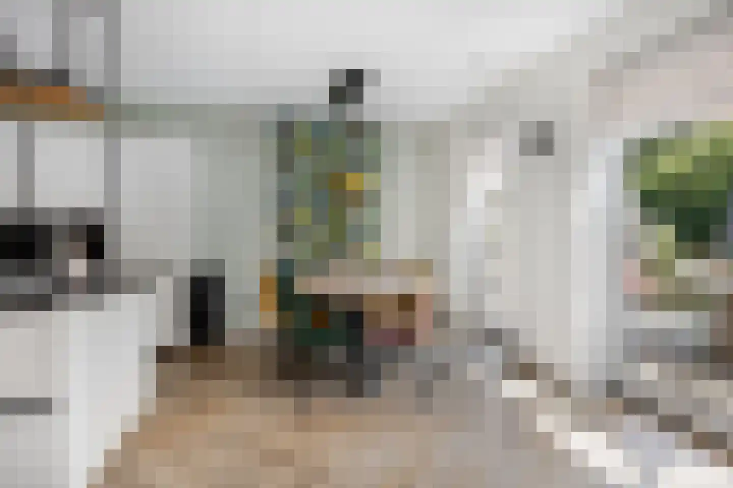 Chr. Bruningslaan 8 Heemstede thumbnail 9