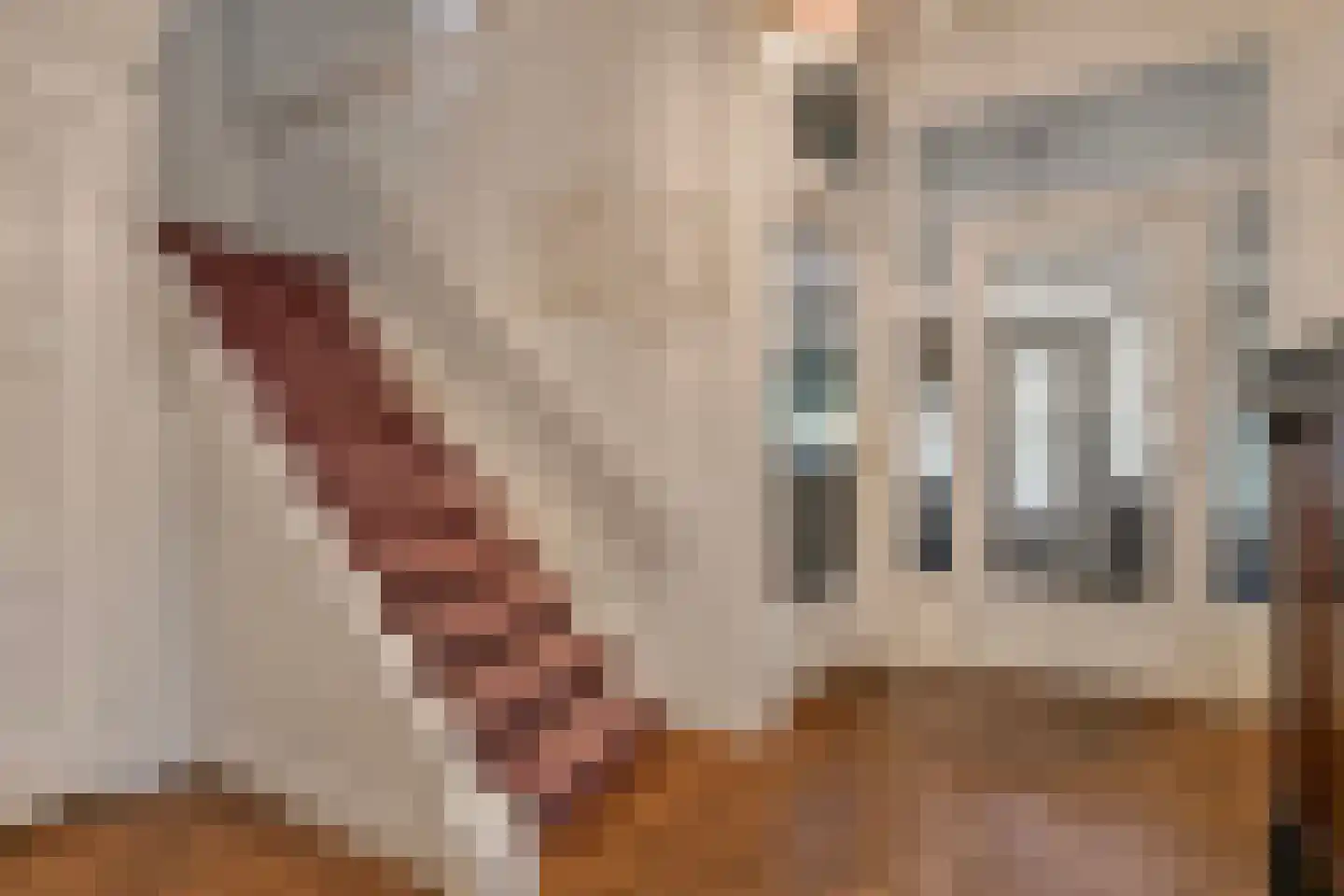 Chr. de Wetlaan 14 Hilversum thumbnail 10