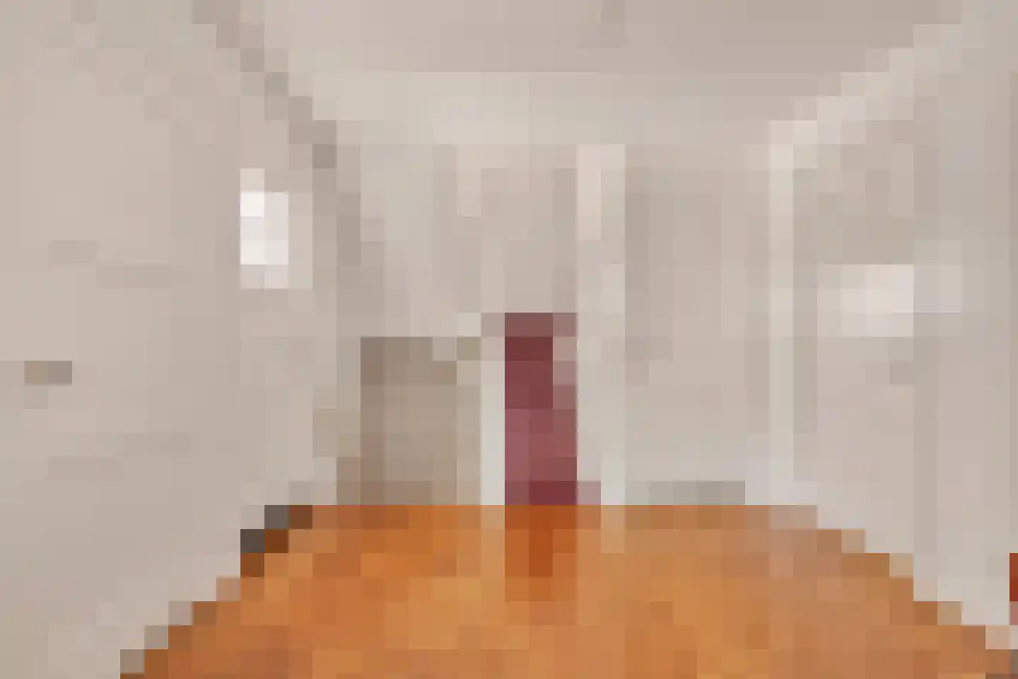 Chr. de Wetlaan 14 Hilversum thumbnail 12