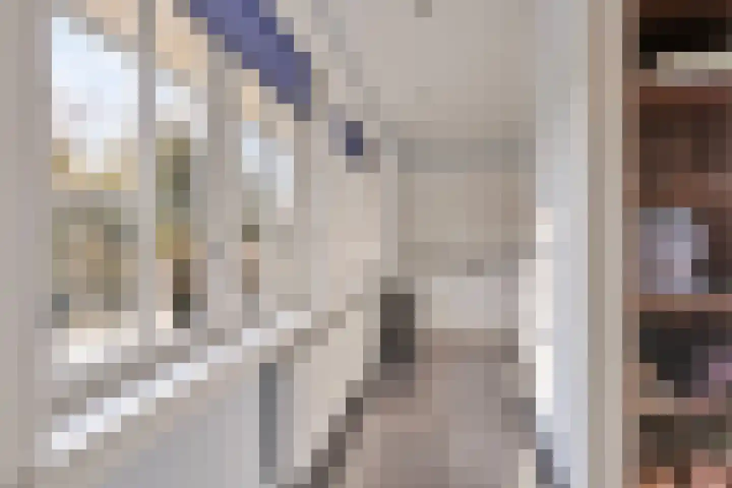 Chr. de Wetlaan 14 Hilversum thumbnail 17