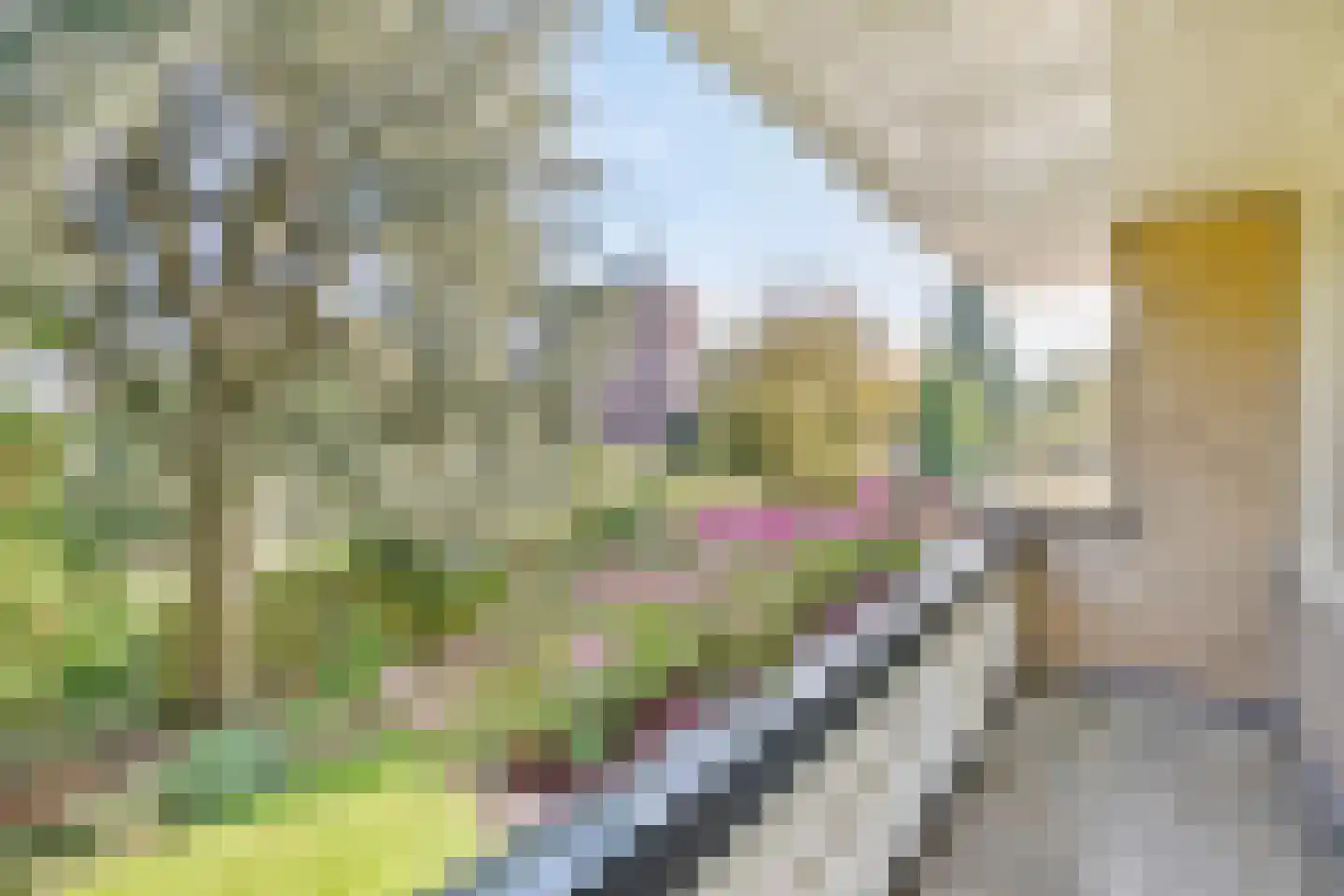 Chr. de Wetlaan 14 Hilversum thumbnail 30