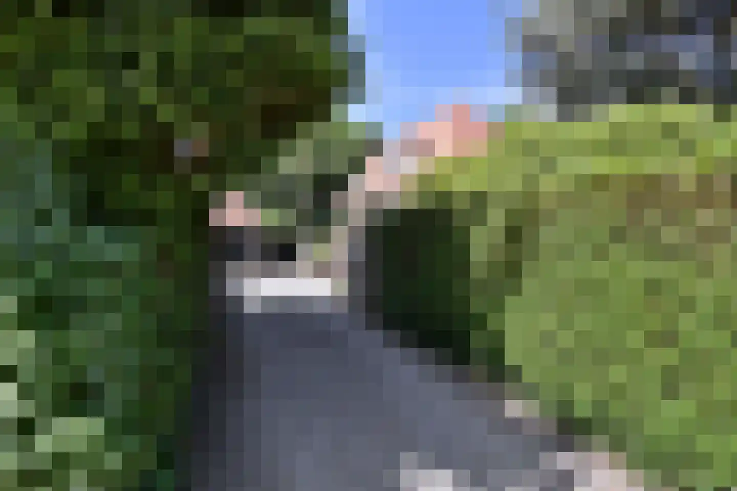Chr. de Wetlaan 14 Hilversum thumbnail 35