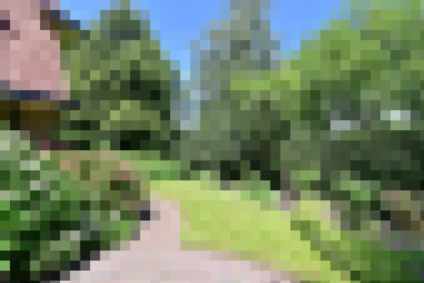 Chr. de Wetlaan 14 Hilversum thumbnail 37