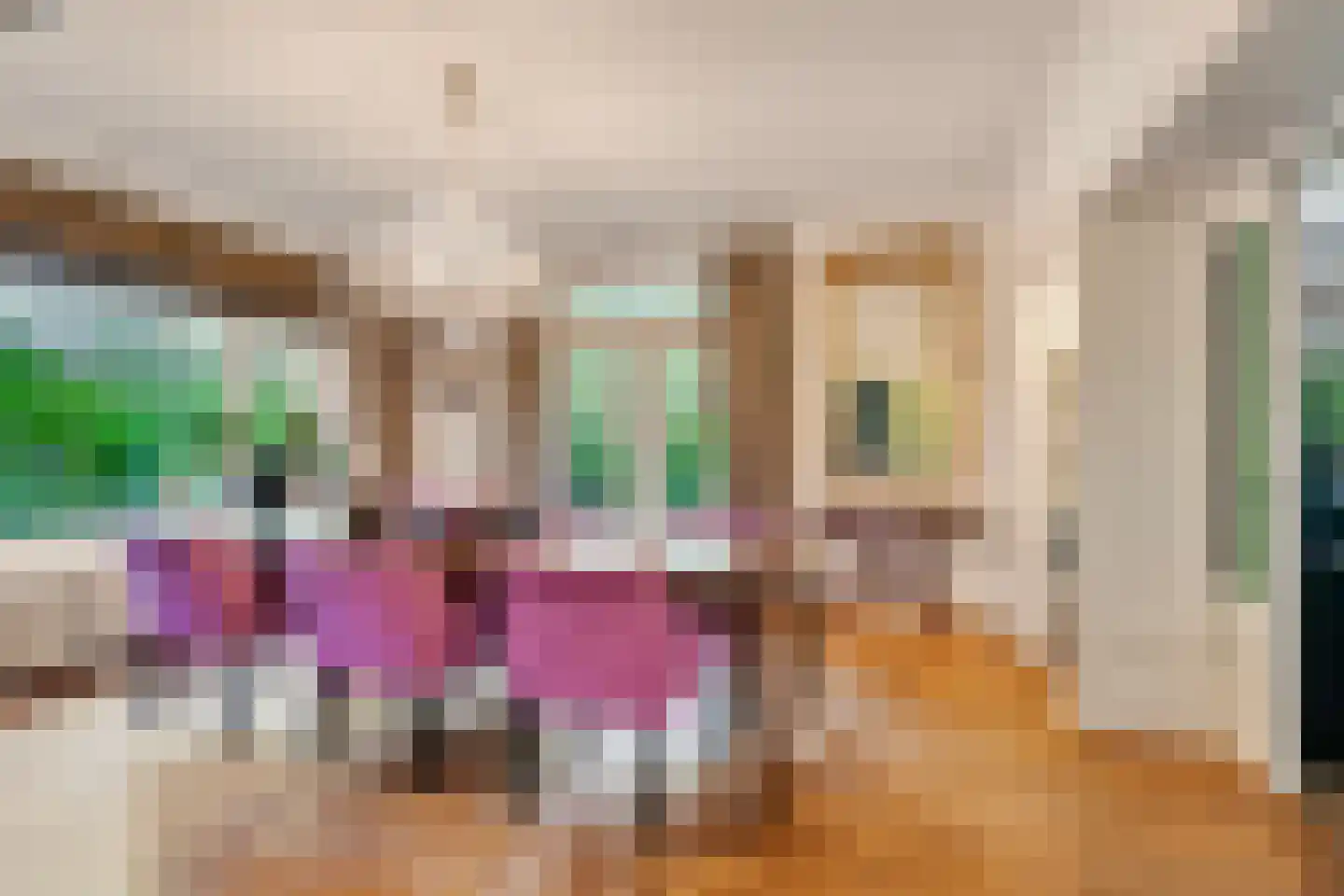 Chr. de Wetlaan 14 Hilversum thumbnail 6