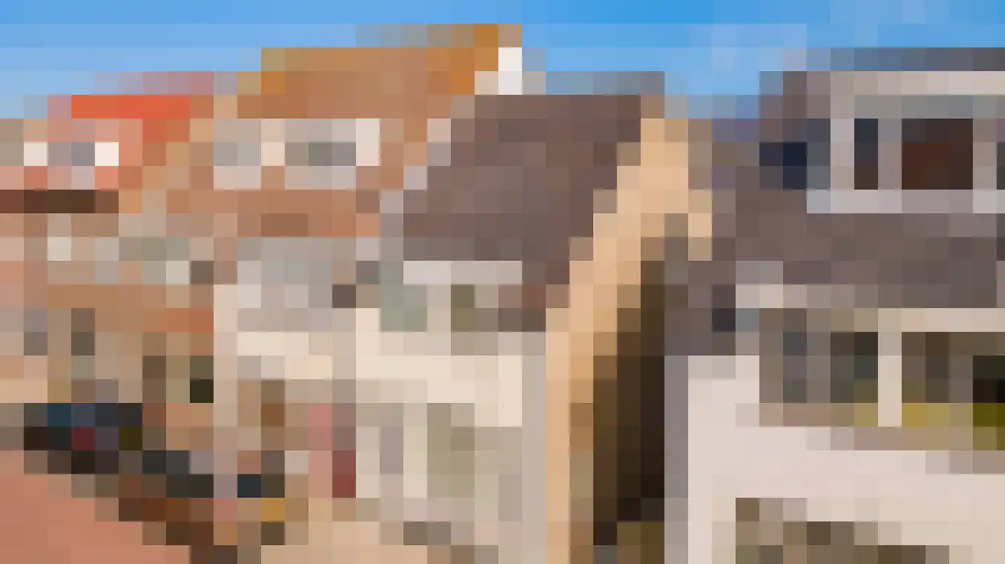 Chr. de Wetstraat 14 Katwijk thumbnail 34
