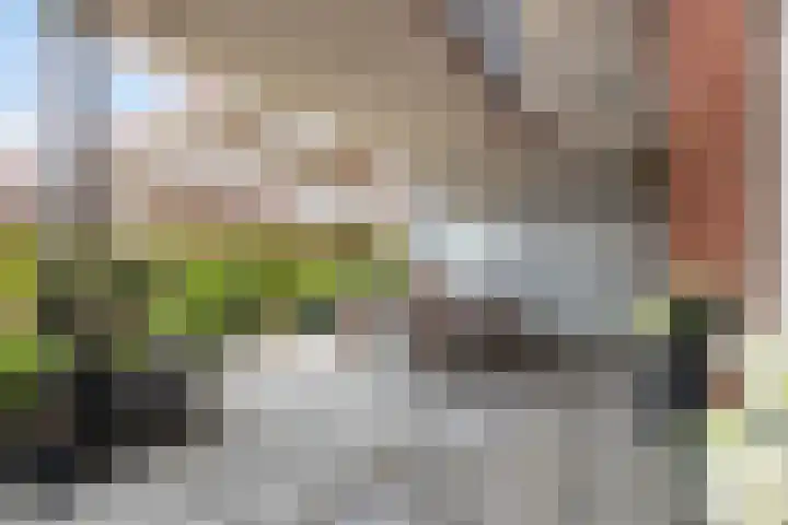 Chris Bennekerslaan 27 G Rotterdam thumbnail 36