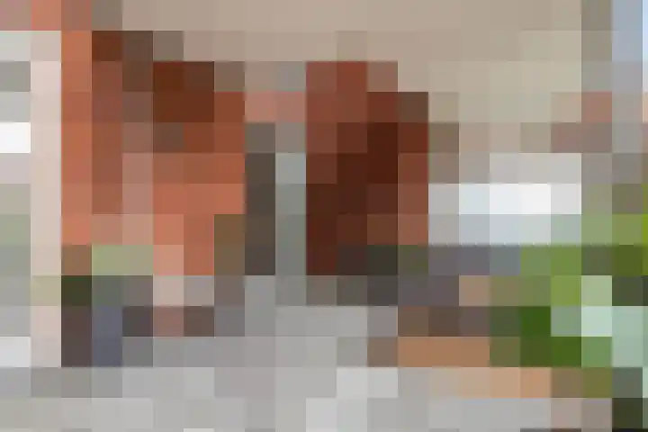 Chris Bennekerslaan 27 G Rotterdam thumbnail 39