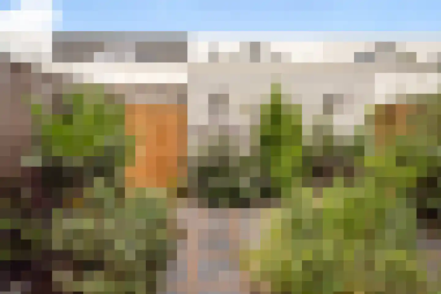 Chris J. Walsonstraat 61 Dordrecht thumbnail 18