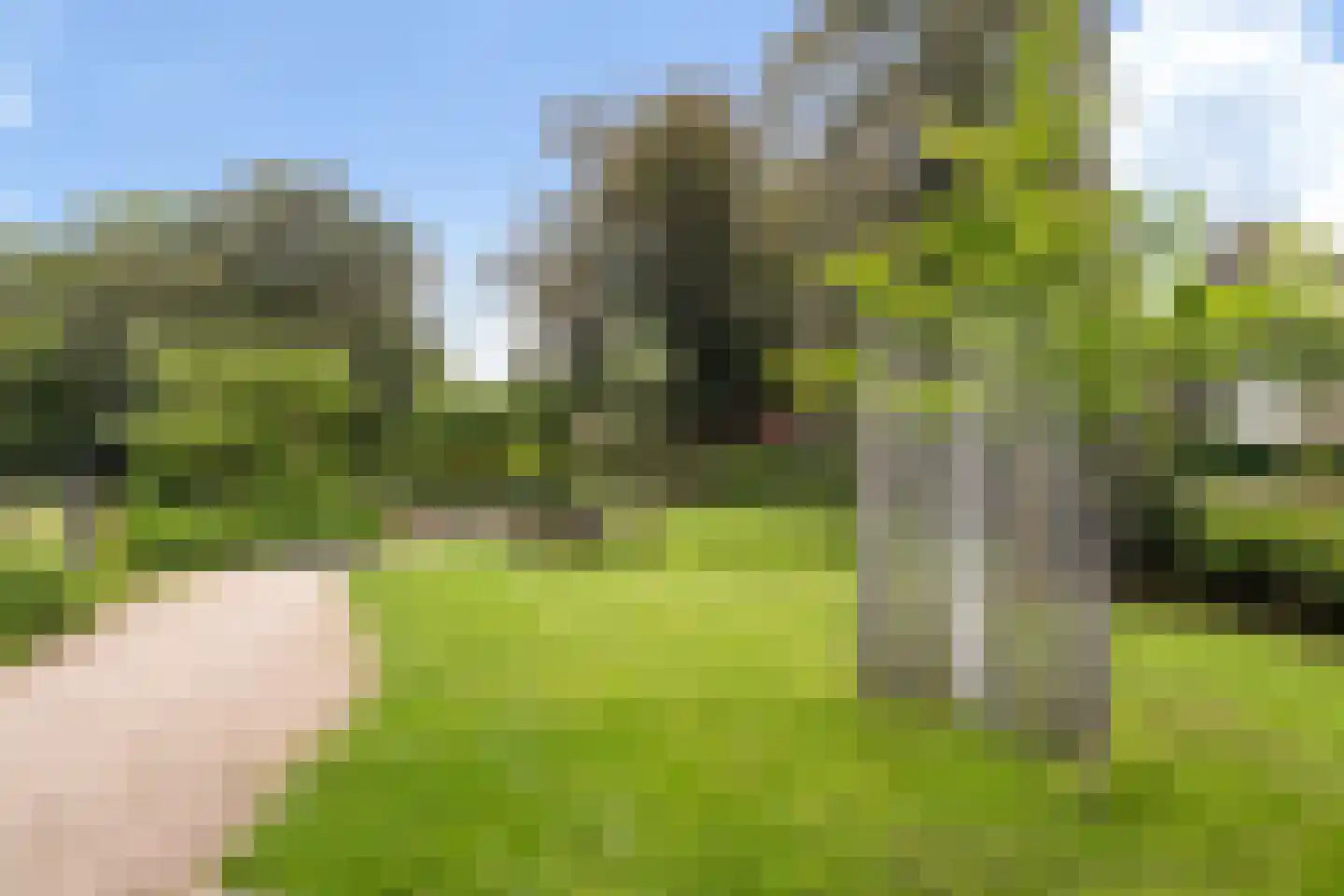 Chris J. Walsonstraat 61 Dordrecht thumbnail 38