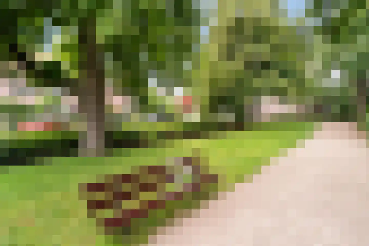 Chris J. Walsonstraat 61 Dordrecht thumbnail 39