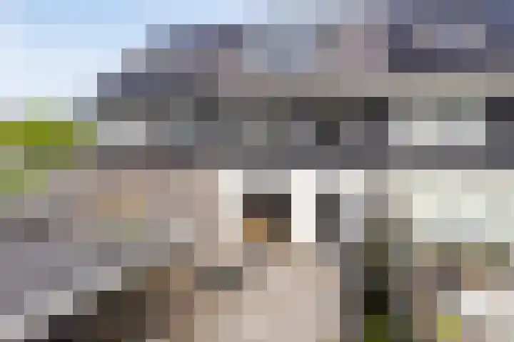 Chris Lebeaustraat 4 Deventer thumbnail 26