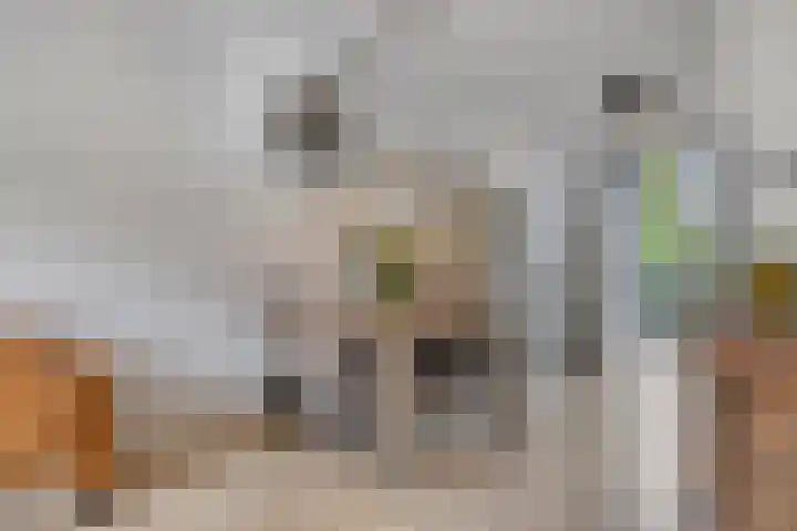 Chris Lebeaustraat 4 Deventer thumbnail 7